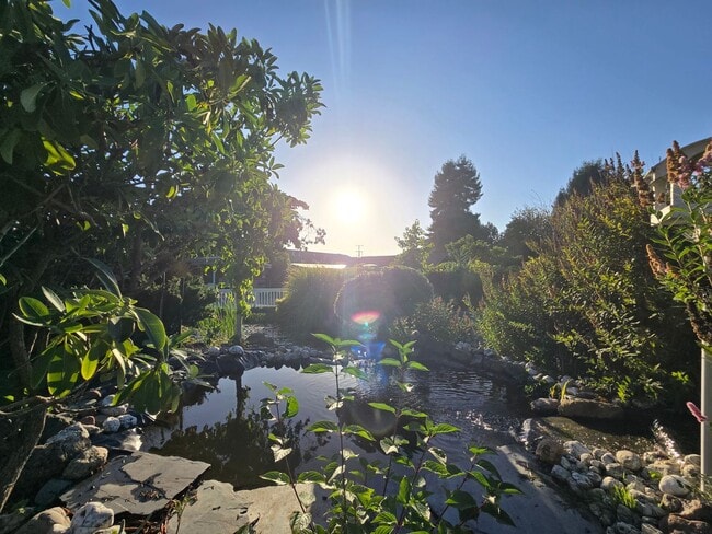 Building Photo - Stunning 4BR/2BA Fortuna home in quiet nei...