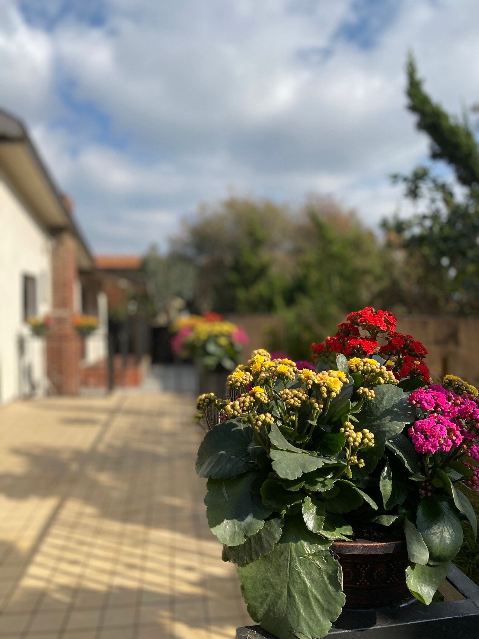 Building Photo - 1338 Berkeley St