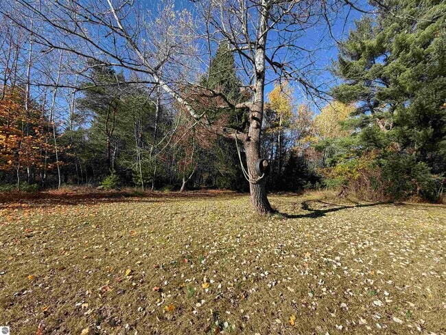 Building Photo - 8334 M-113