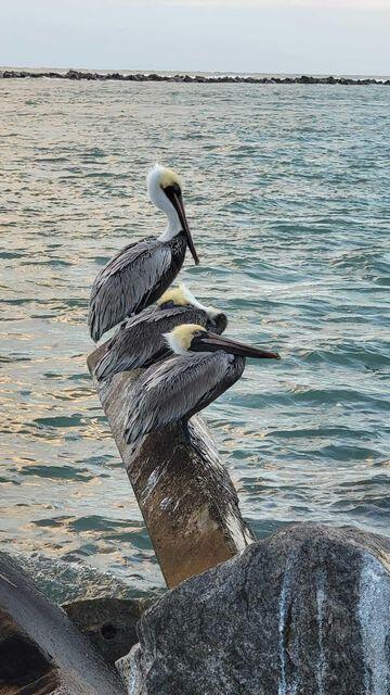 Building Photo - 235 Fordham Dr