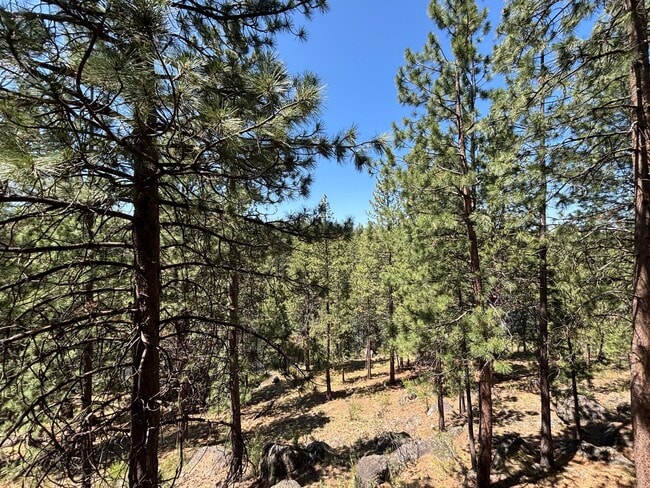 Building Photo - Stunning 3 Bed/ 2.5-Bath Home on the River...