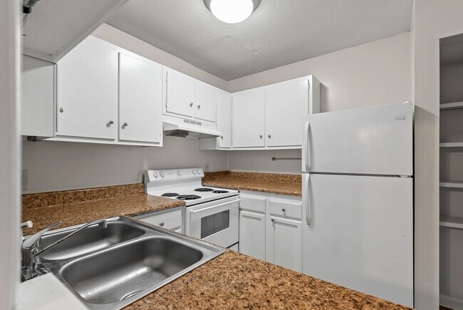 Building Photo - Bolinwood condo available May 1!  ! 3 beds, 2 baths in GREAT location in Chapel Hill!