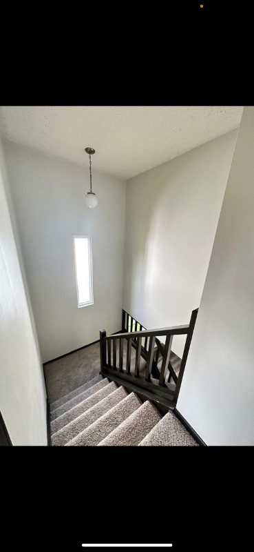 Building Photo - 3824 Longton Dr