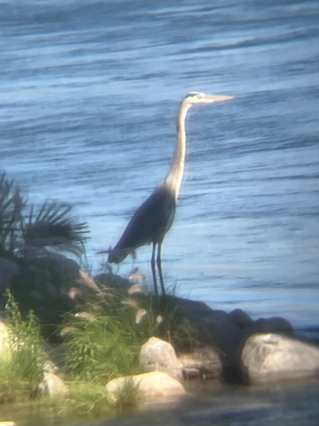 Building Photo - 1800 Club House Dr