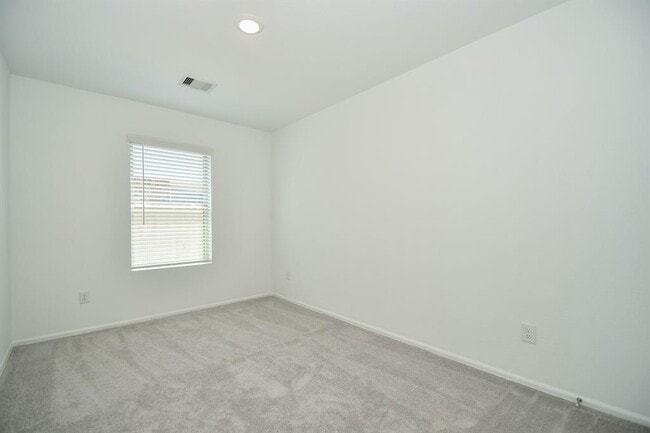 Building Photo - 4123 Saw Mill Peak Ln