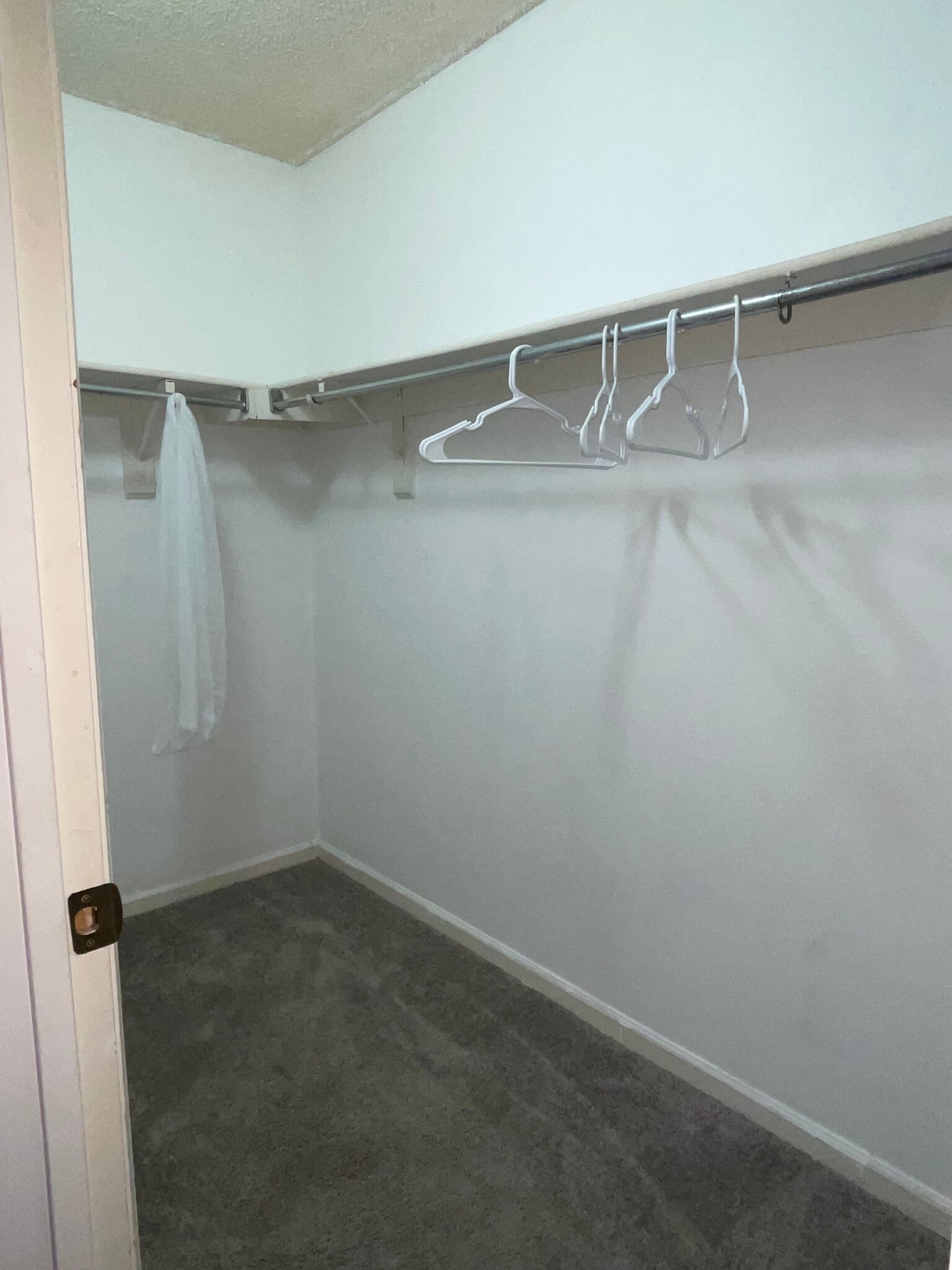 Spacious closet - 11115 E Alameda Ave