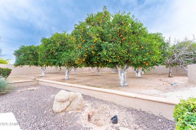 Building Photo - 3552 E Jaeger Cir