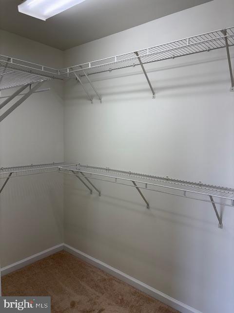 Building Photo - 1408 Steuart St