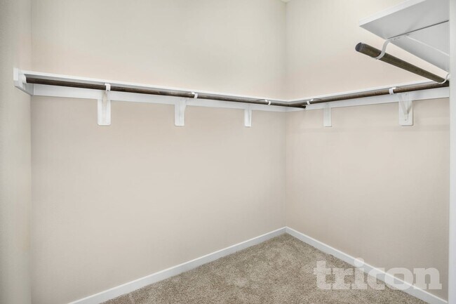 Building Photo - 4918 San Fabiano Ct