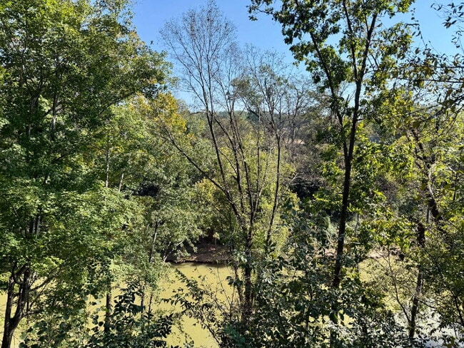 Building Photo - 3BR/2.5BA Home in Clarksville on Red River