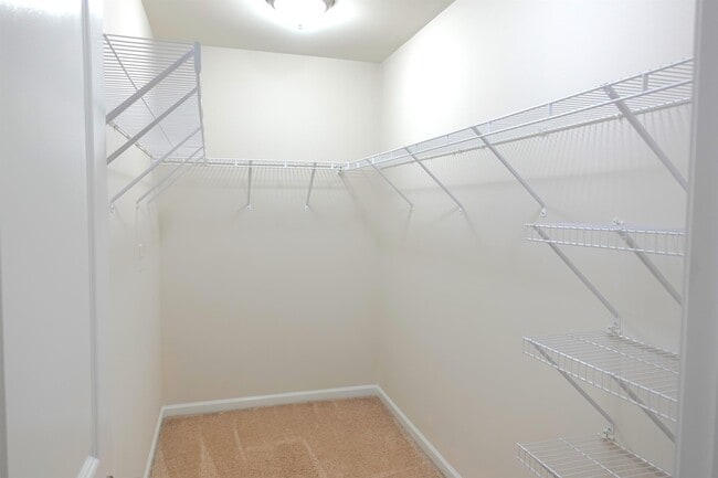 Building Photo - 24 Noble Wing Ln