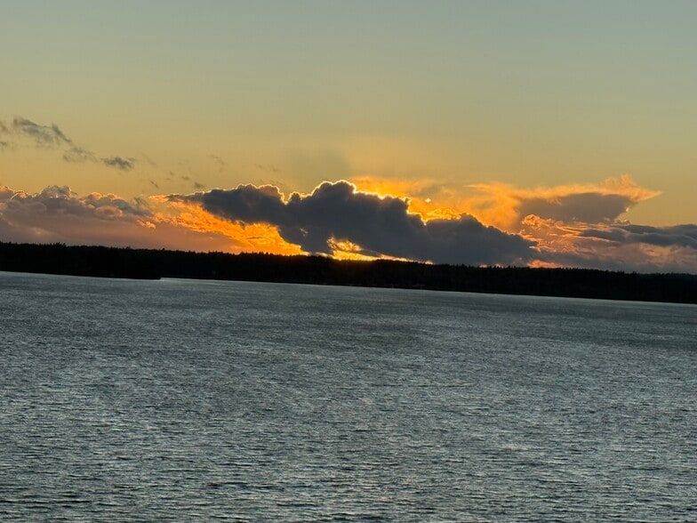 One of many sunsets - 178 Bow Rd