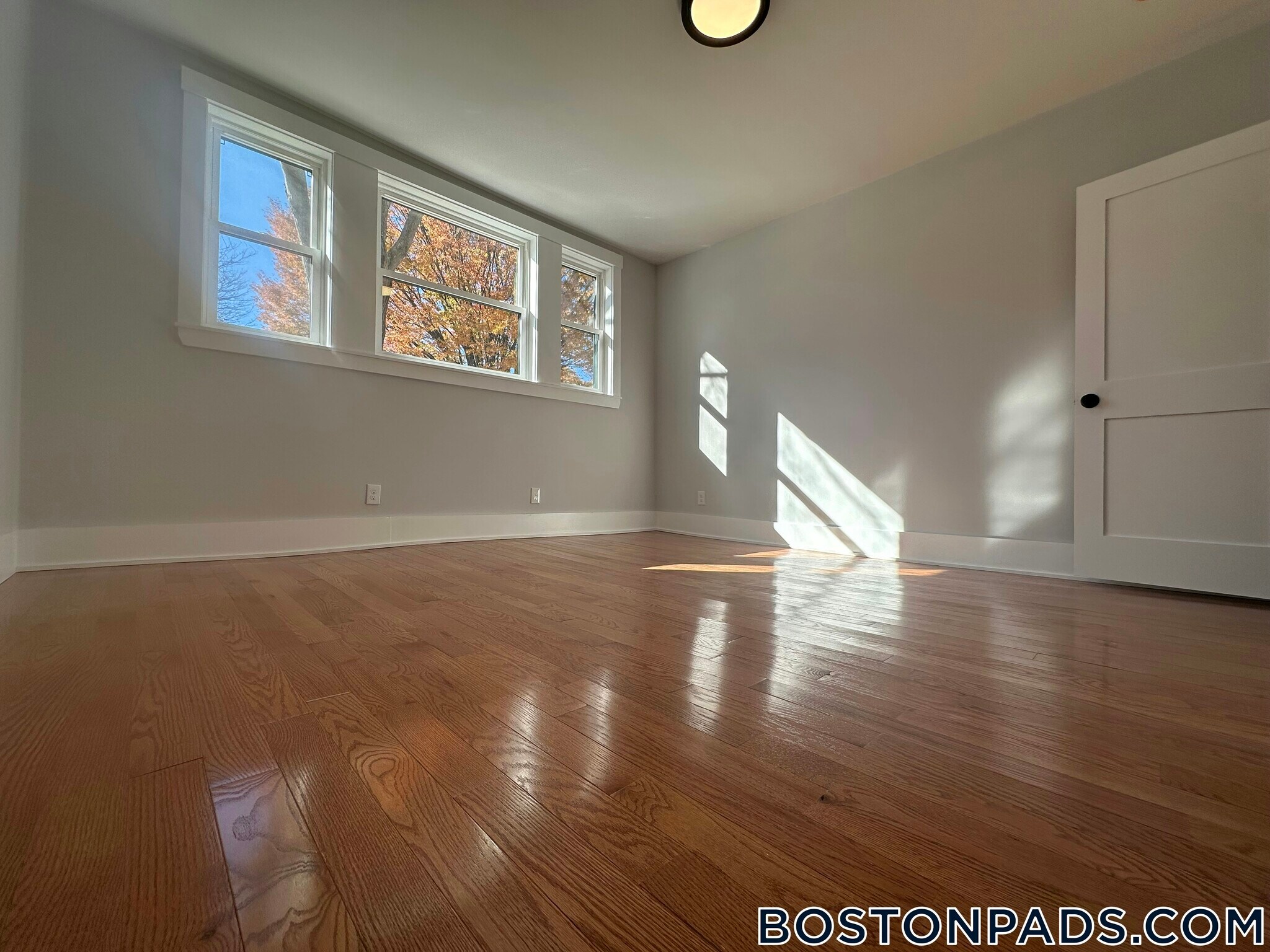 Building Photo - 118 Marginal St