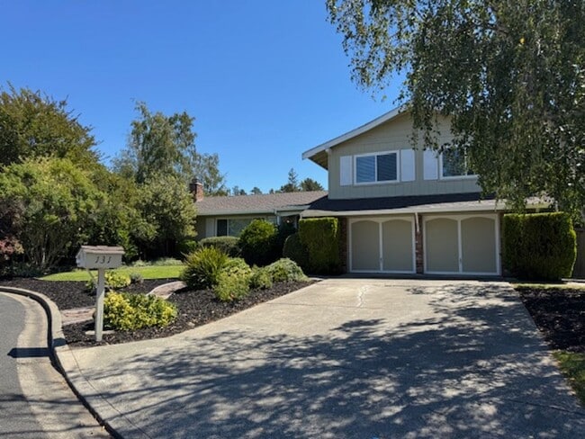 Primary Photo - 4 bedroom Moraga home is now available for...