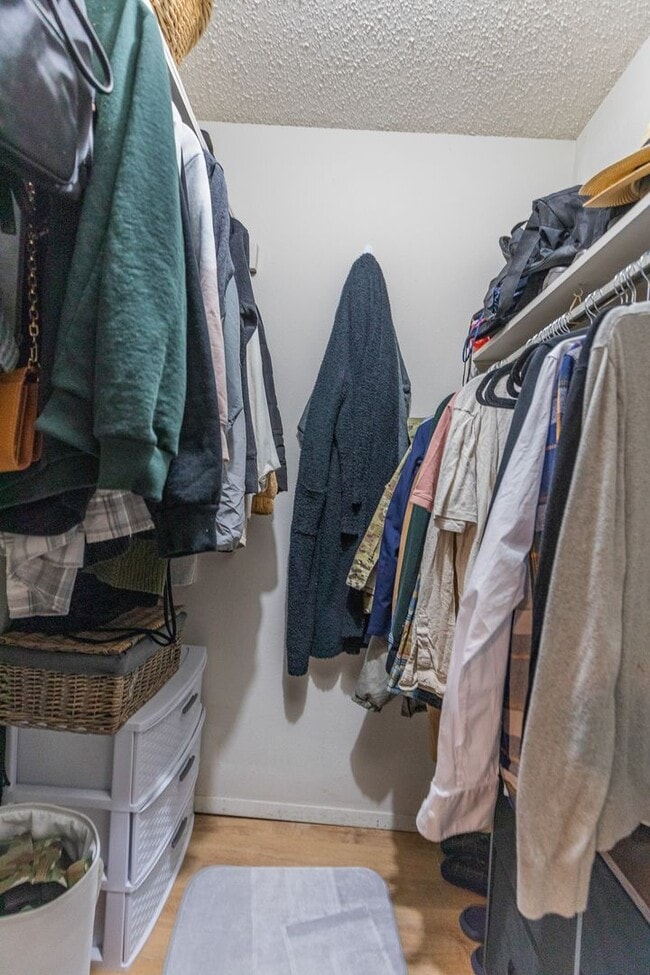 Building Photo - Beautiful 3 Bed 2 Bath - Gorgeous Views & Fenced in Backyard!