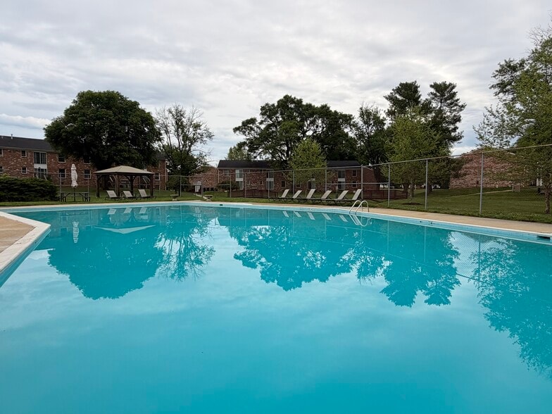Pool - Brandon Ladd