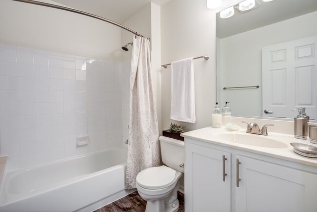 Building Photo - 431 Chopin Ct