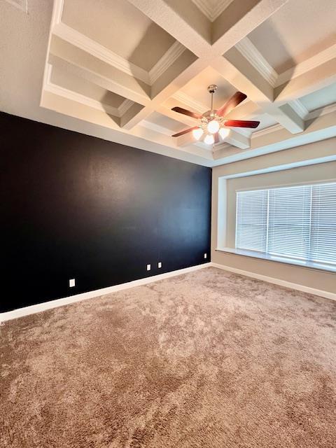 Building Photo - 520 Mistflower Springs Dr