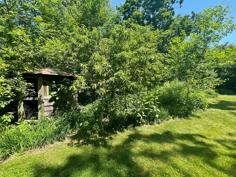 Backyard - 210 Mannion Ave