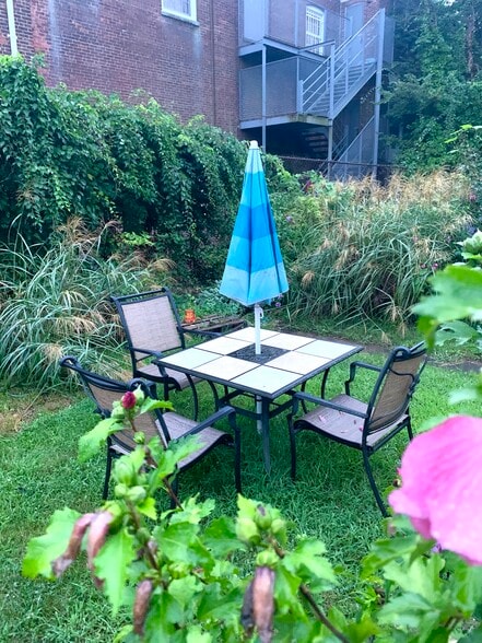 View onto the yard from the kitchen door - 22 Lyon St