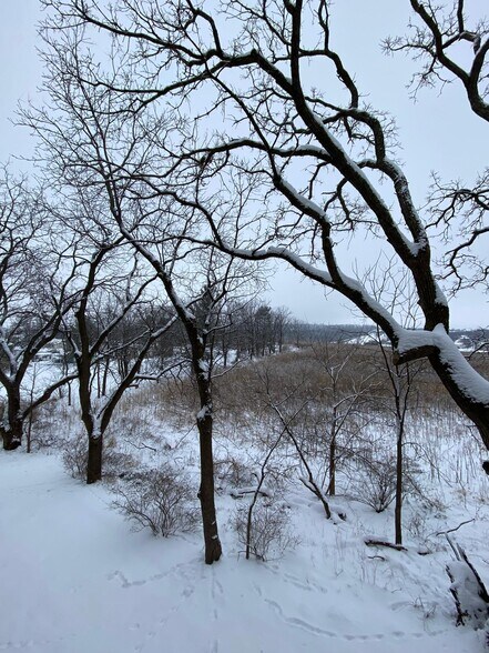 Building Photo - 8253 Mayo Dr