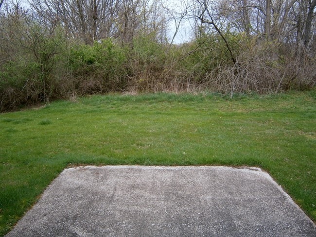 Building Photo - 458-480 Seville Rd