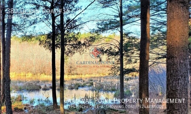 Building Photo - 380 Ocean Rd