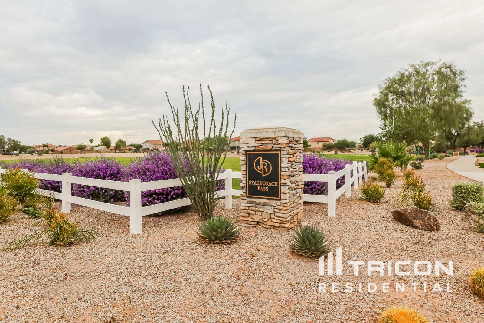 Building Photo - 29459 N Blackfoot Daisy Dr
