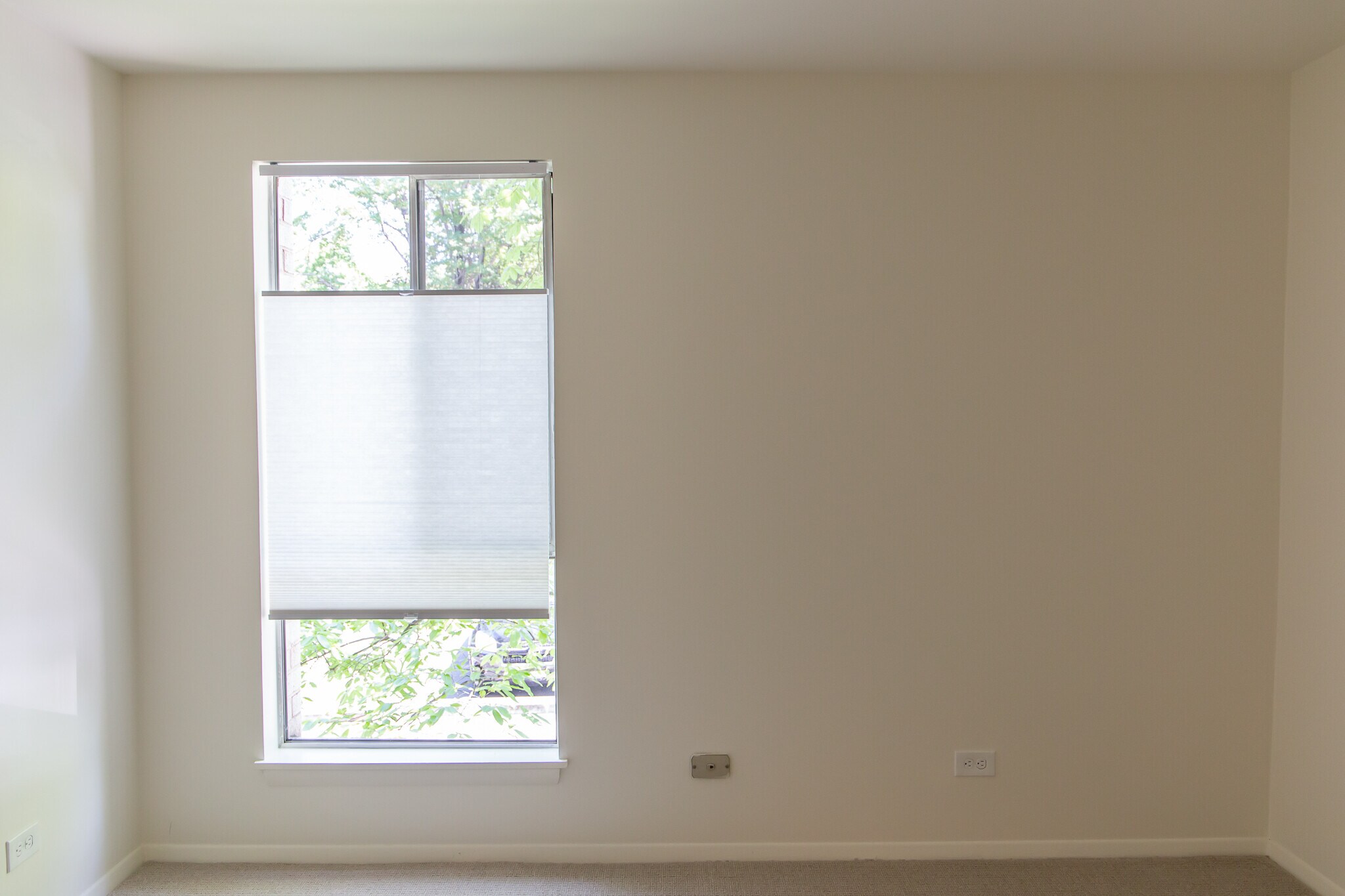 All window treatments move from top and bottom - 511 1st St N