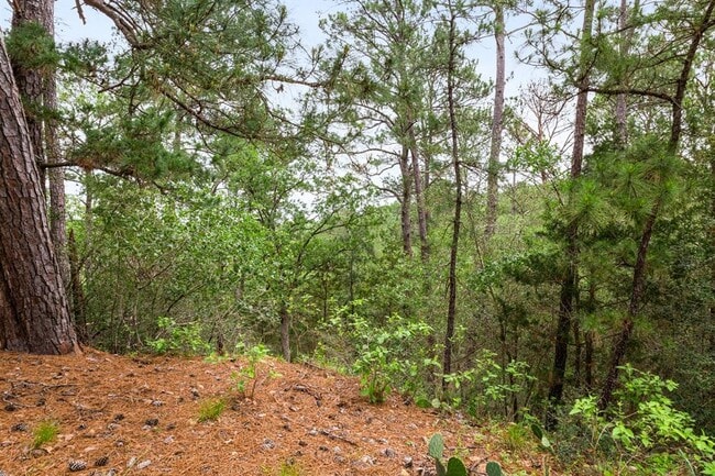 Building Photo - 205 Hanauma Dr