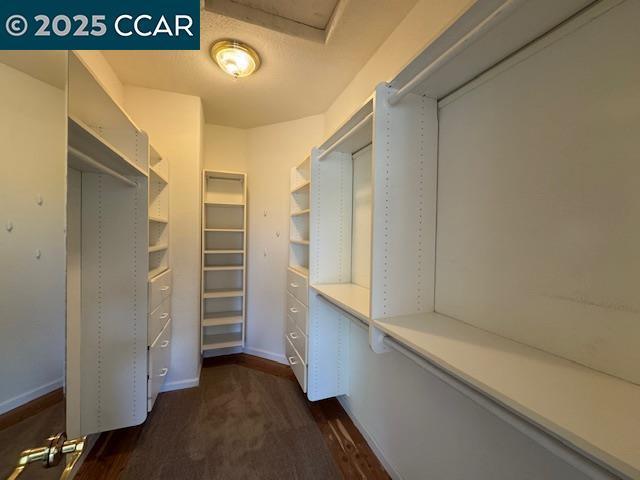 Building Photo - 2551 Alamo Country Cir
