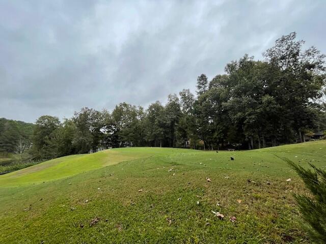 Building Photo - 3 Water Oak Ct