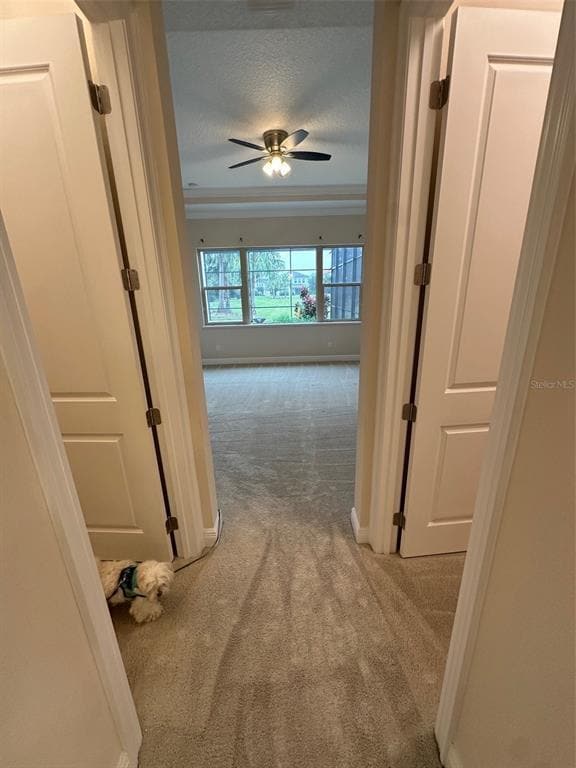 Building Photo - 8270 Topsail Pl