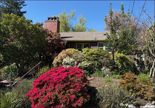 Primary Photo - 11249 Fremont Ave N