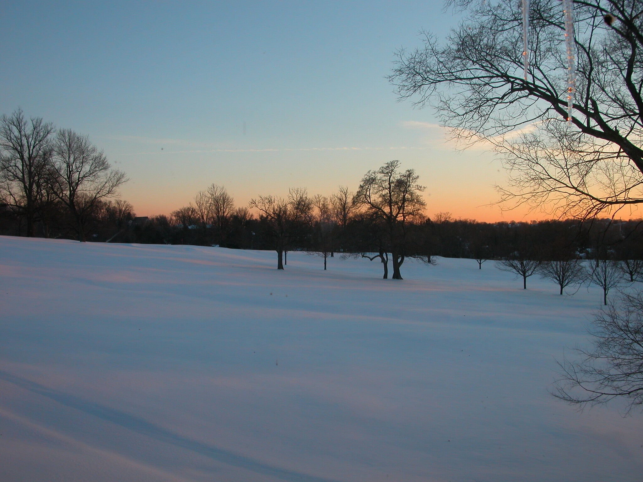 Building Photo - 6201 Lisbon Ave