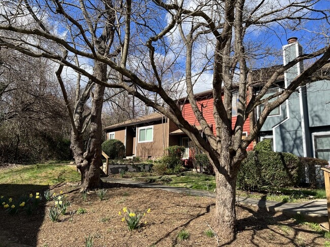 Building Photo - 980 Sutton Ct