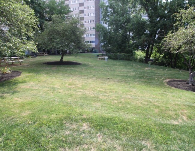 Building Photo - 12520 Edgewater Dr