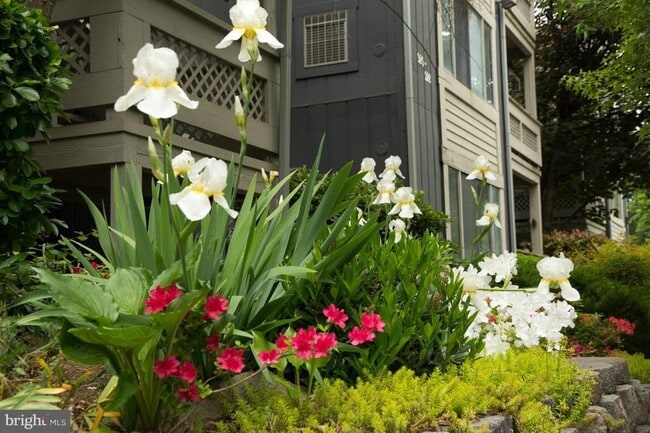 Building Photo - 916 Windbrooke Dr