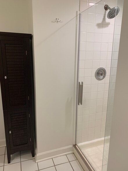 Bathroom shower - 1321 W Thorndale Ave