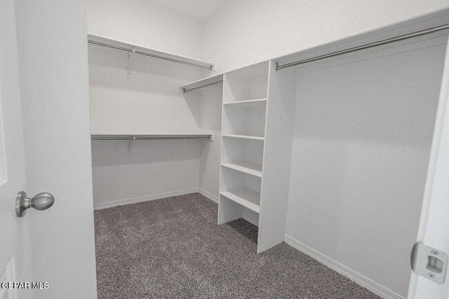 Building Photo - 14309 Chris Zingo Ln