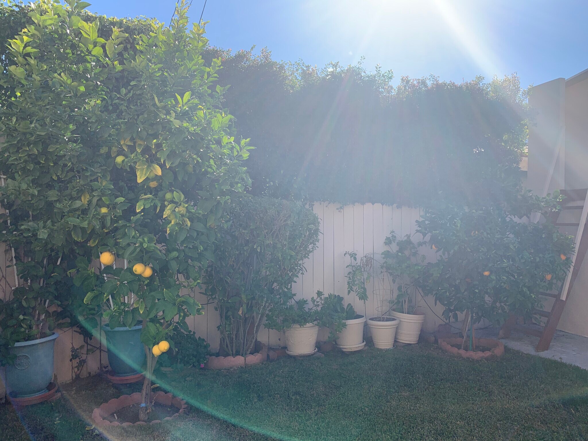 Building Photo - 8730 Rosewood Ave