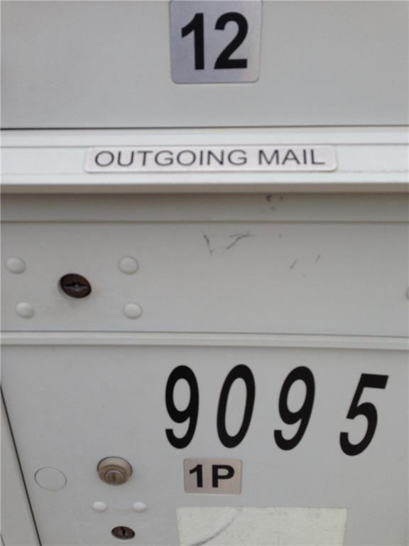 Building Photo - 15009 Staked Plains Loop