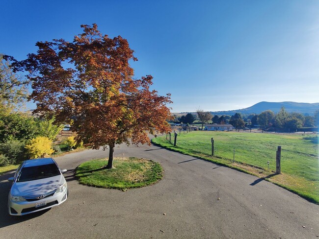 Building Photo - Country Setting with pasture for large ani...