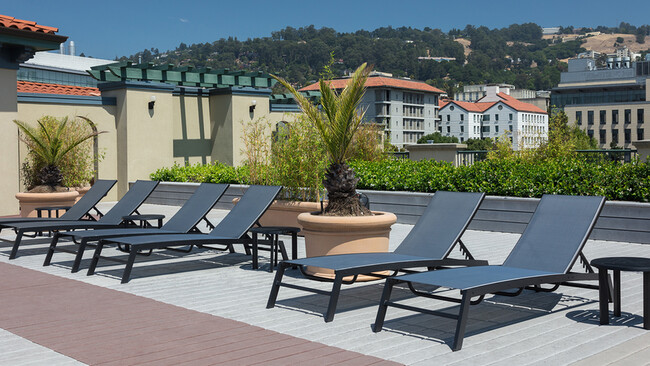 Lounge in the sun on the rooftop deck with chaise lounges and social spaces - Bachenheimer