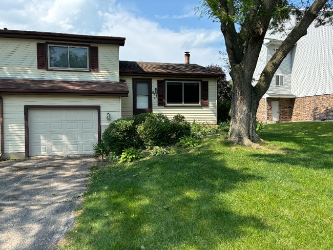 Building Photo - 817 Henry St