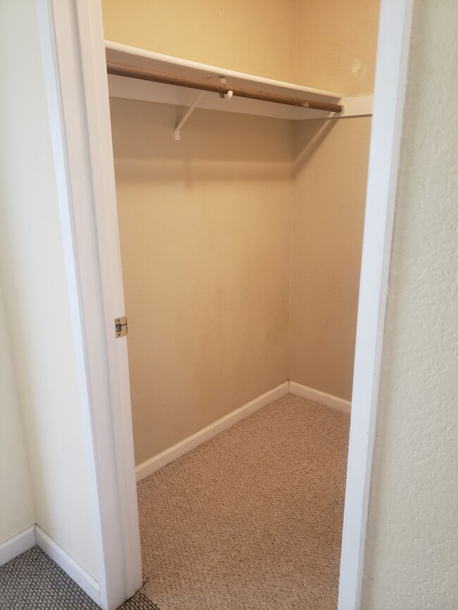 Walk in closet - 687 Royston Ln