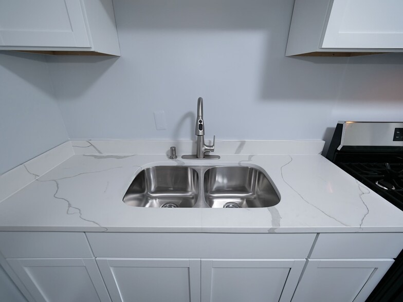 Double bowl sink - 5351 S Laflin St