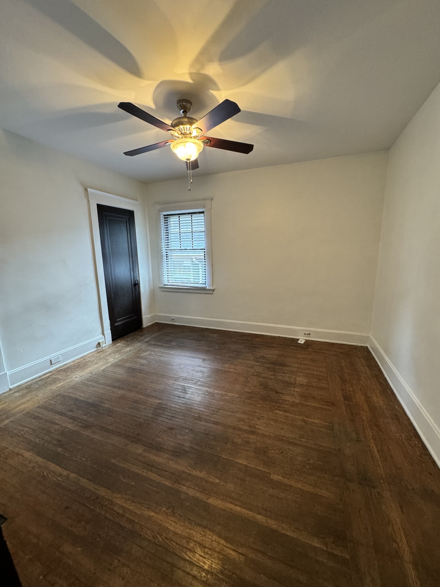 Middle room - office/bedroom - 45 Hartweg Ave