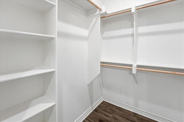 Building Photo - 802 S Newsom St