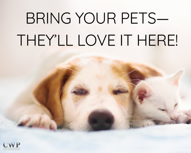 Building Photo - 4905 Prestige Ct